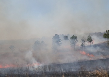 Prescribed fire