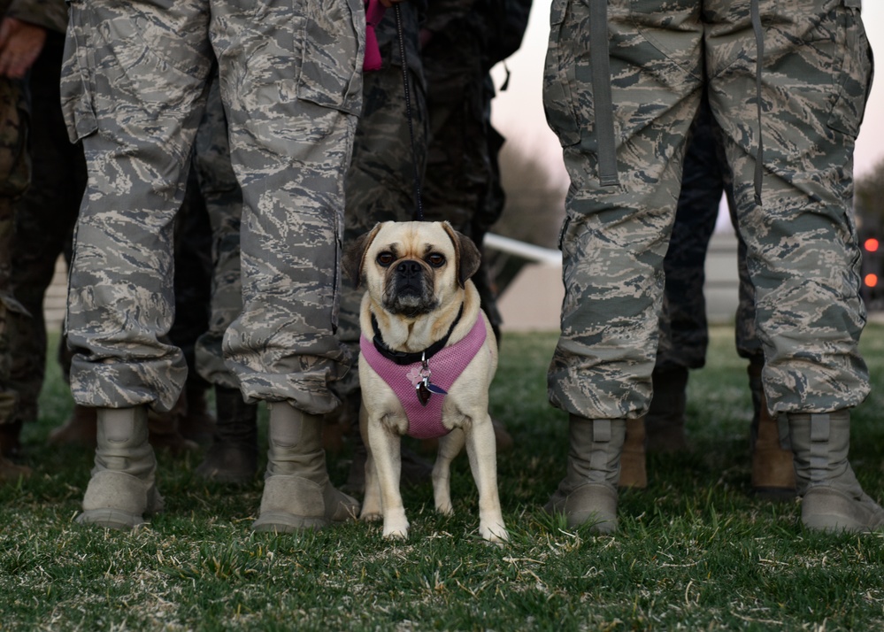 SFS hosts suicide prevention ruck march