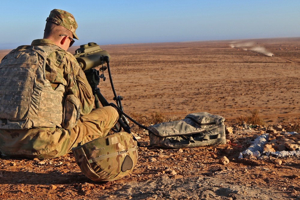 Exercise African Lion demonstration includes combined military tactics, techniques and weapons systems