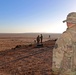 Exercise African Lion demonstration includes combined military tactics, techniques and weapons systems