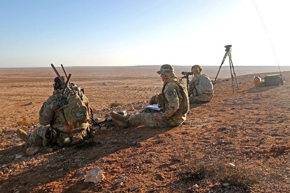 Exercise African Lion demonstration includes combined military tactics, techniques and weapons systems