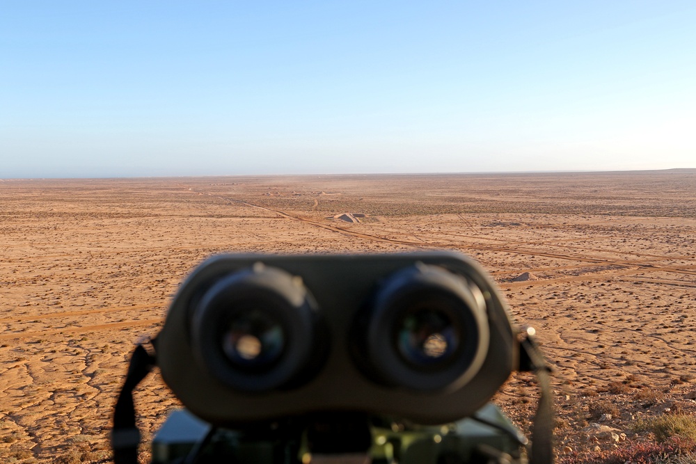 Exercise African Lion demonstration includes combined military tactics, techniques and weapons systems