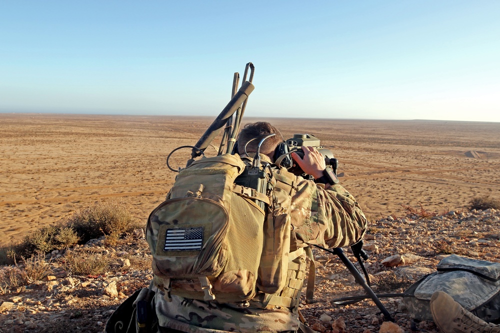 Exercise African Lion demonstration includes combined military tactics, techniques and weapons systems