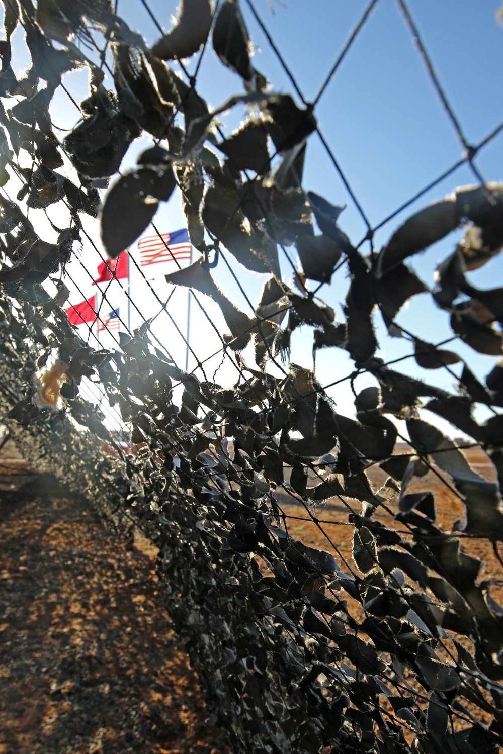 African Lion field training exercise includes combined military demonstrations