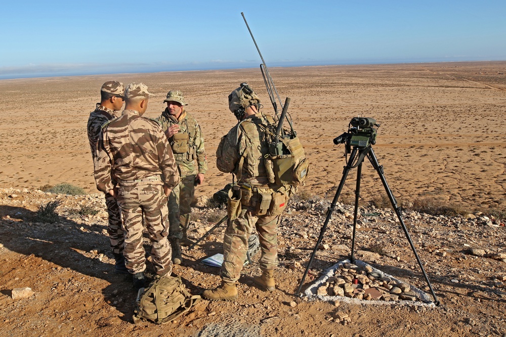 Exercise African Lion demonstration includes combined military tactics, techniques and weapons systems