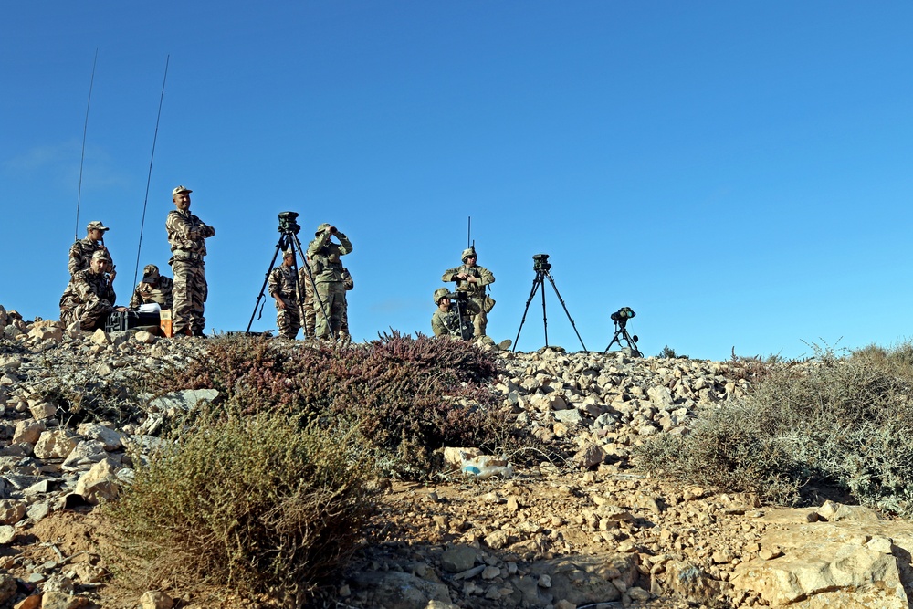 Exercise African Lion demonstration includes combined military tactics, techniques and weapons systems