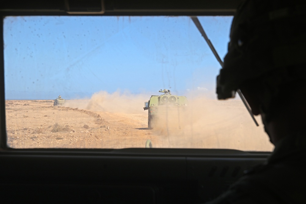 Exercise African Lion demonstration includes combined military tactics, techniques and weapons systems