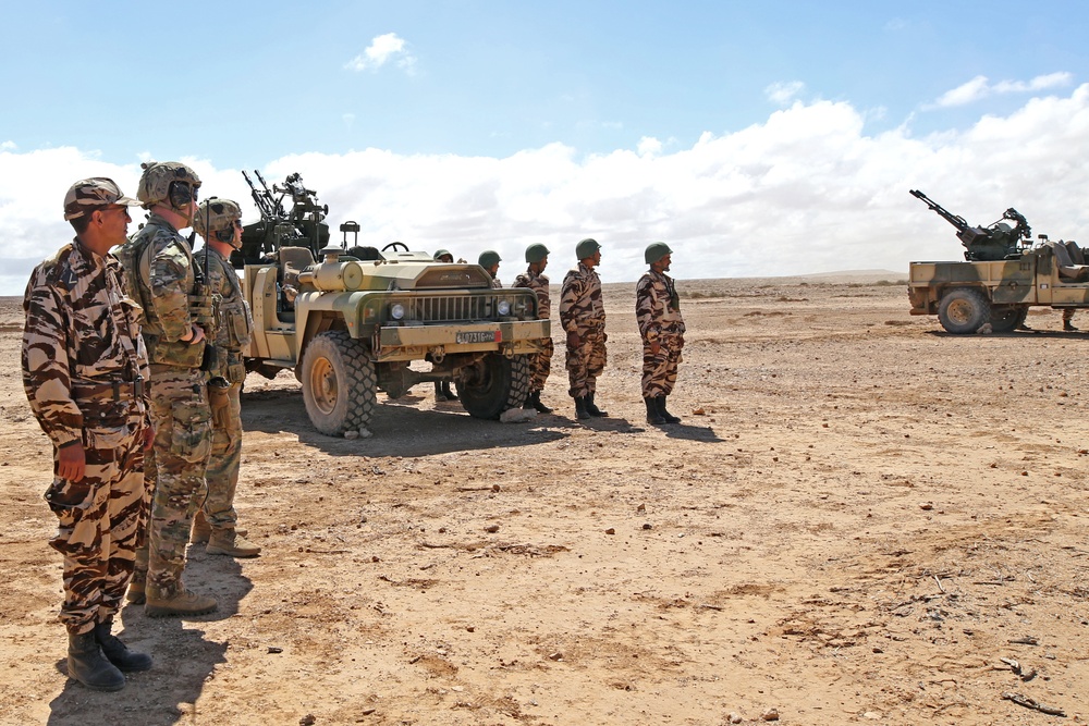 Exercise African Lion demonstration includes combined military tactics, techniques and weapons systems