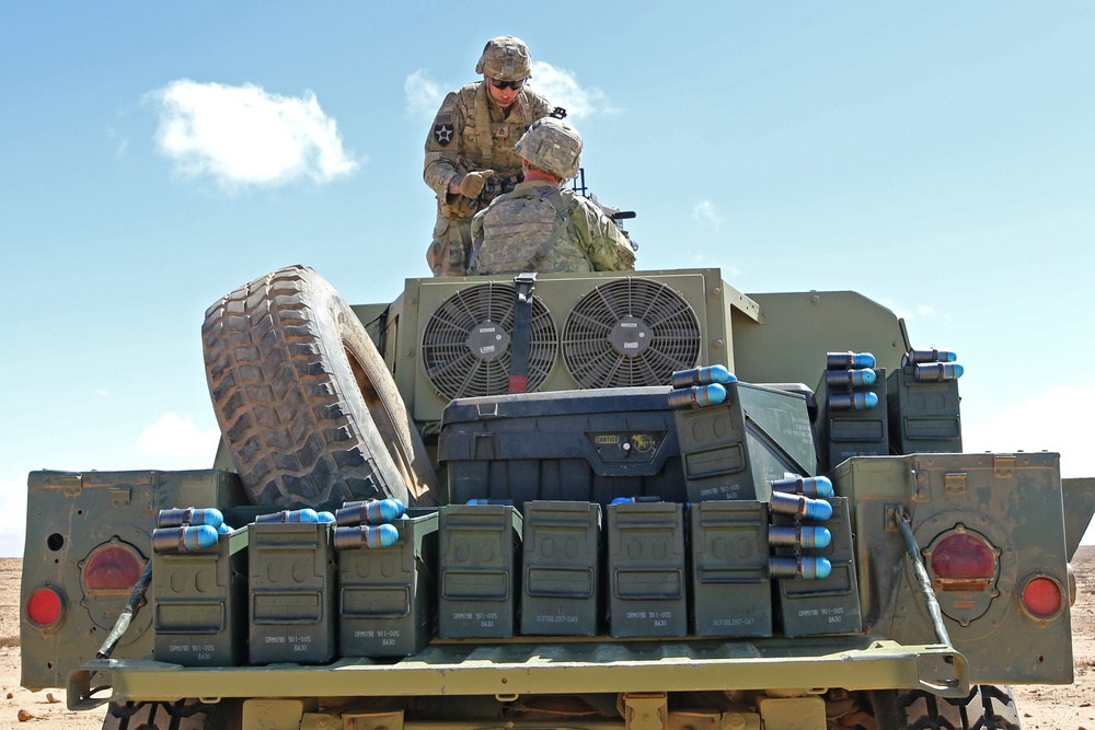 Exercise African Lion demonstration includes combined military tactics, techniques and weapons systems