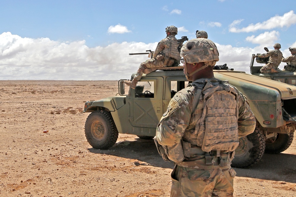 Exercise African Lion demonstration includes combined military tactics, techniques and weapons systems