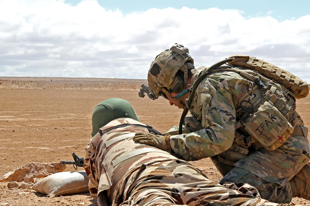 Exercise African Lion demonstration includes combined military tactics, techniques and weapons systems