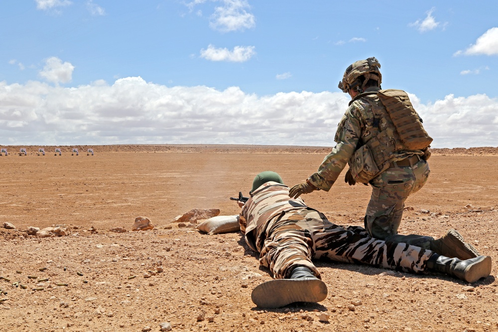 Exercise African Lion demonstration includes combined military tactics, techniques and weapons systems