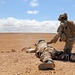 Exercise African Lion demonstration includes combined military tactics, techniques and weapons systems