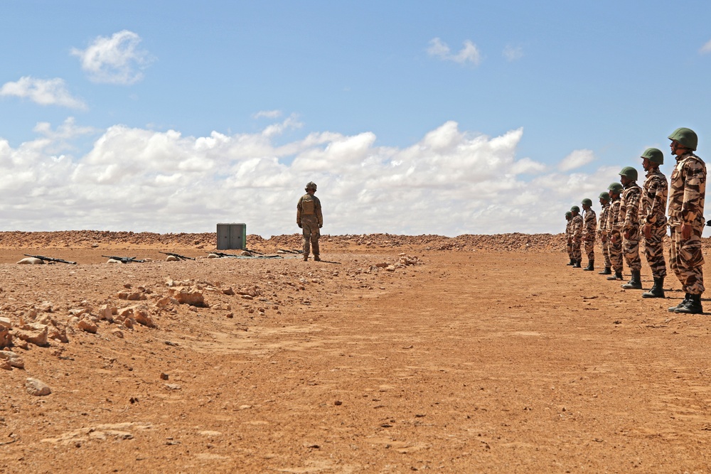 Exercise African Lion demonstration includes combined military tactics, techniques and weapons systems