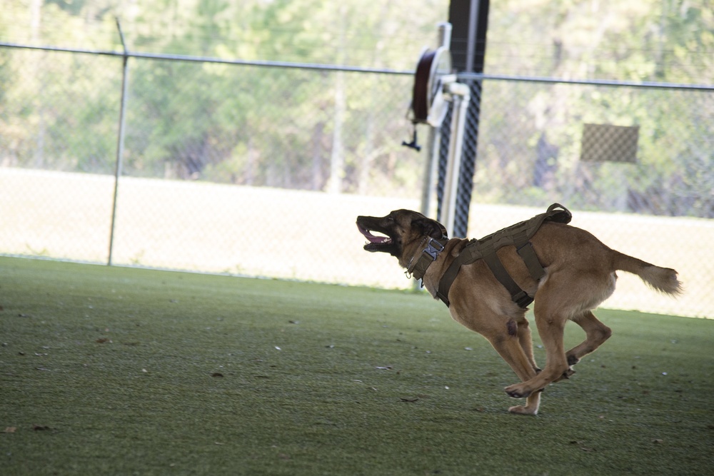 Run