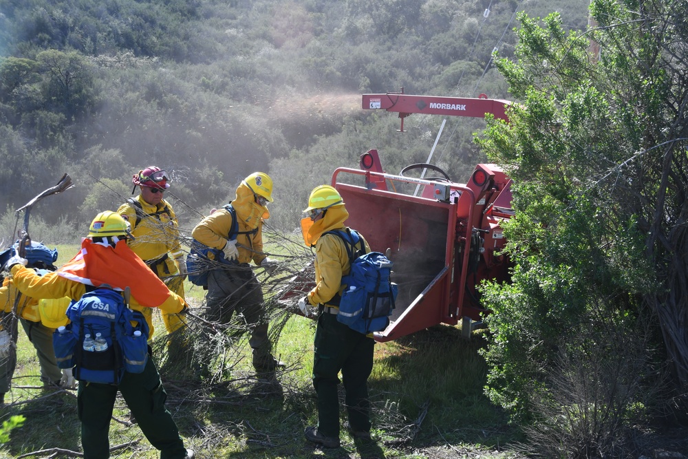 Task Force Rattlesnake completes wildfire training
