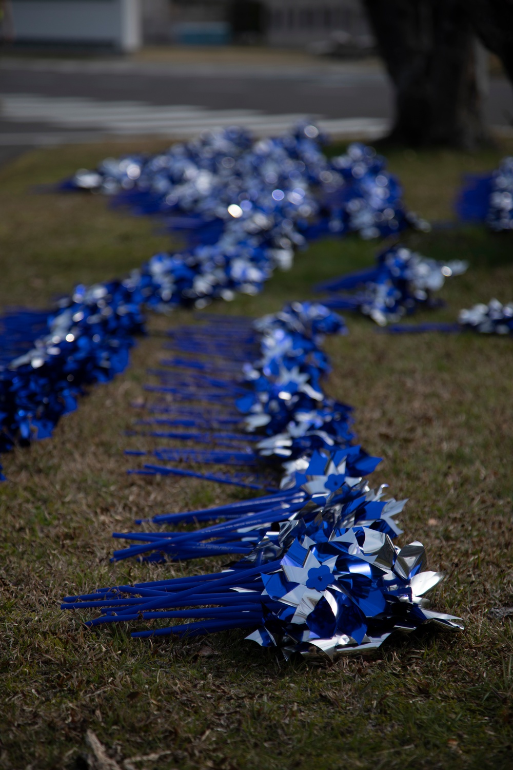 Planting pinwheels, growing prevention