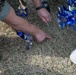 Planting pinwheels, growing prevention