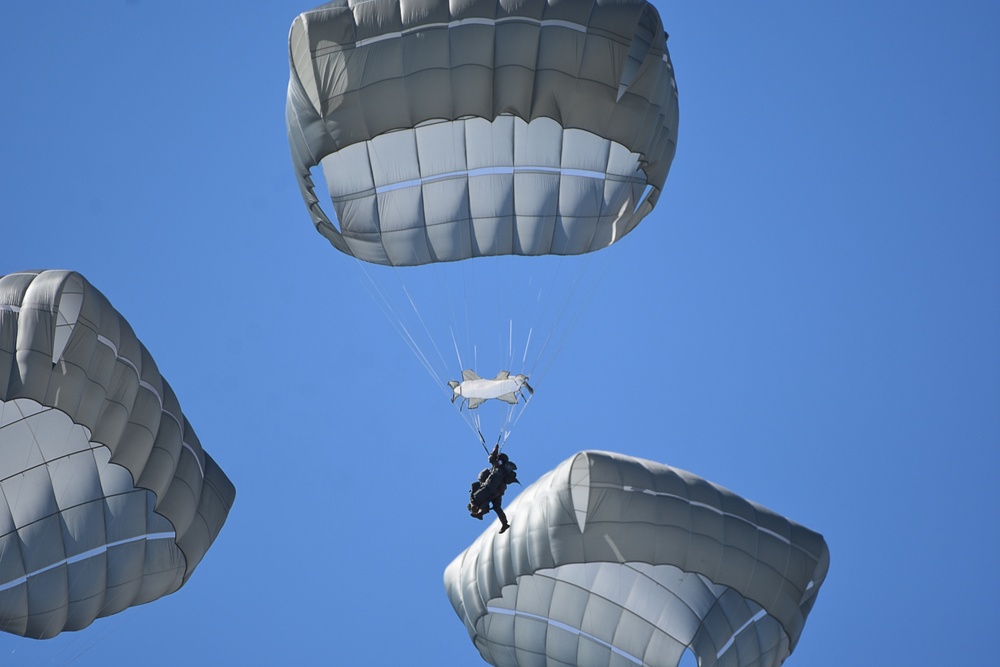 Sky Soldier conducts jump during Eagle Sokol