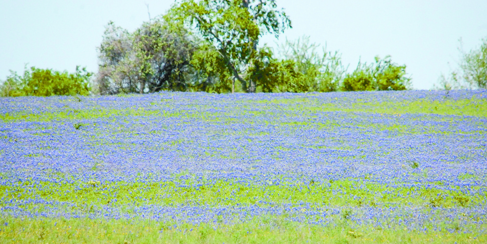 Texas drive offers history, scenic beauty, ice cream