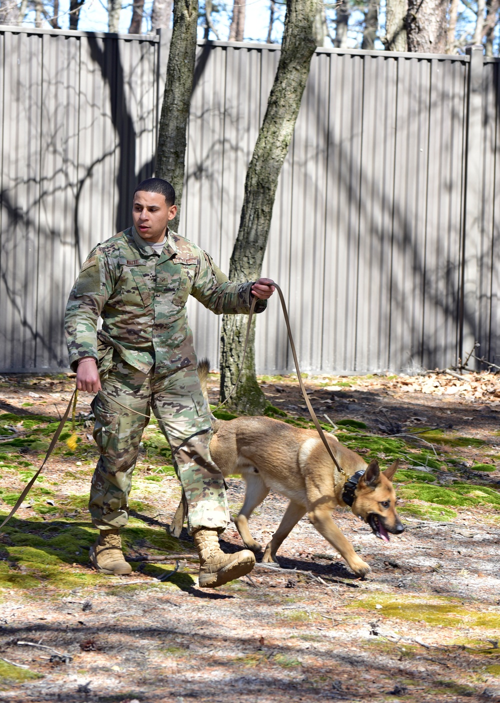 K9 Chronicles