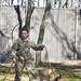 K9 Chronicles