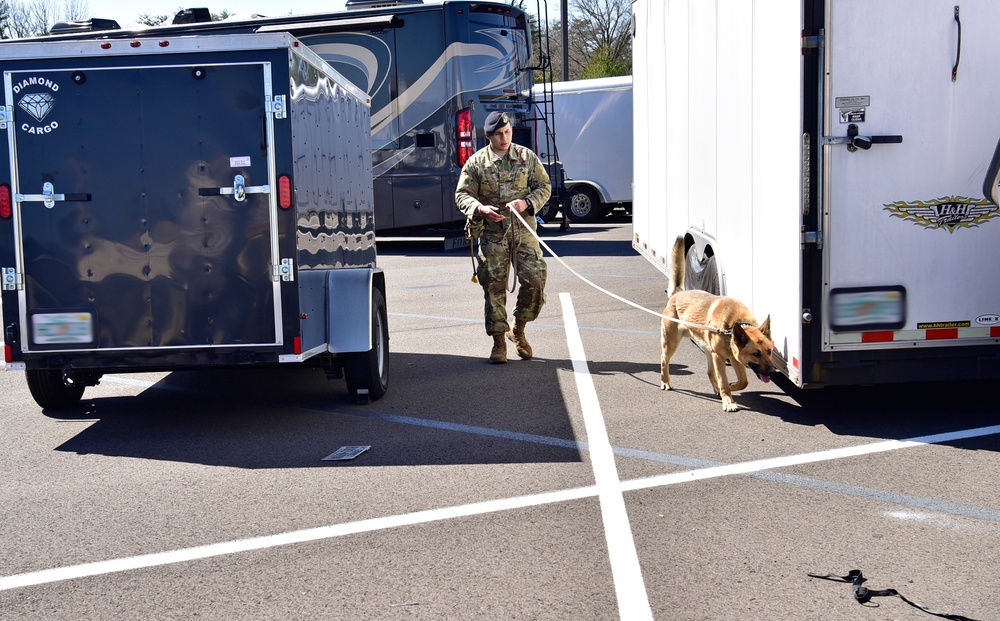 K9 Chronicles