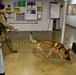 K9 Chronicles