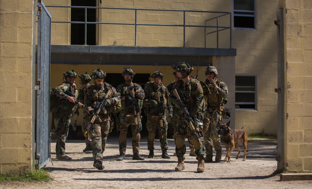 32nd Raiding Squadron and 2nd LE BN Conduct Dutch Bilateral Training