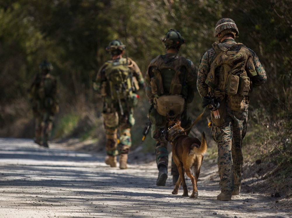 32nd Raiding Squadron and 2nd LE BN Conduct Dutch Bilateral Training