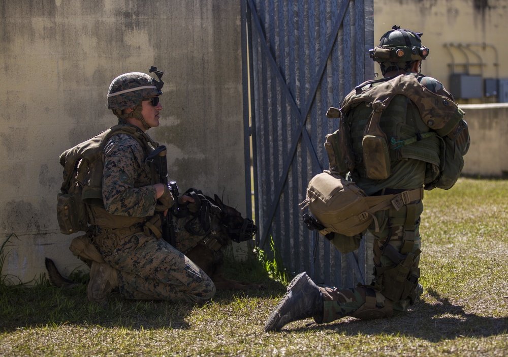 32nd Raiding Squadron and 2nd LE BN Conduct Dutch Bilateral Training