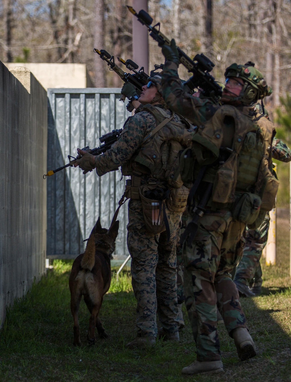 32nd Raiding Squadron and 2nd LE BN Conduct Dutch Bilateral Training