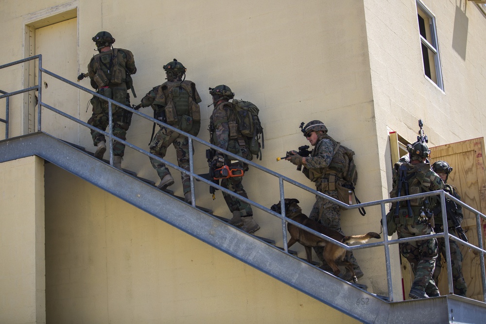 32nd Raiding Squadron and 2nd LE BN Conduct Dutch Bilateral Training