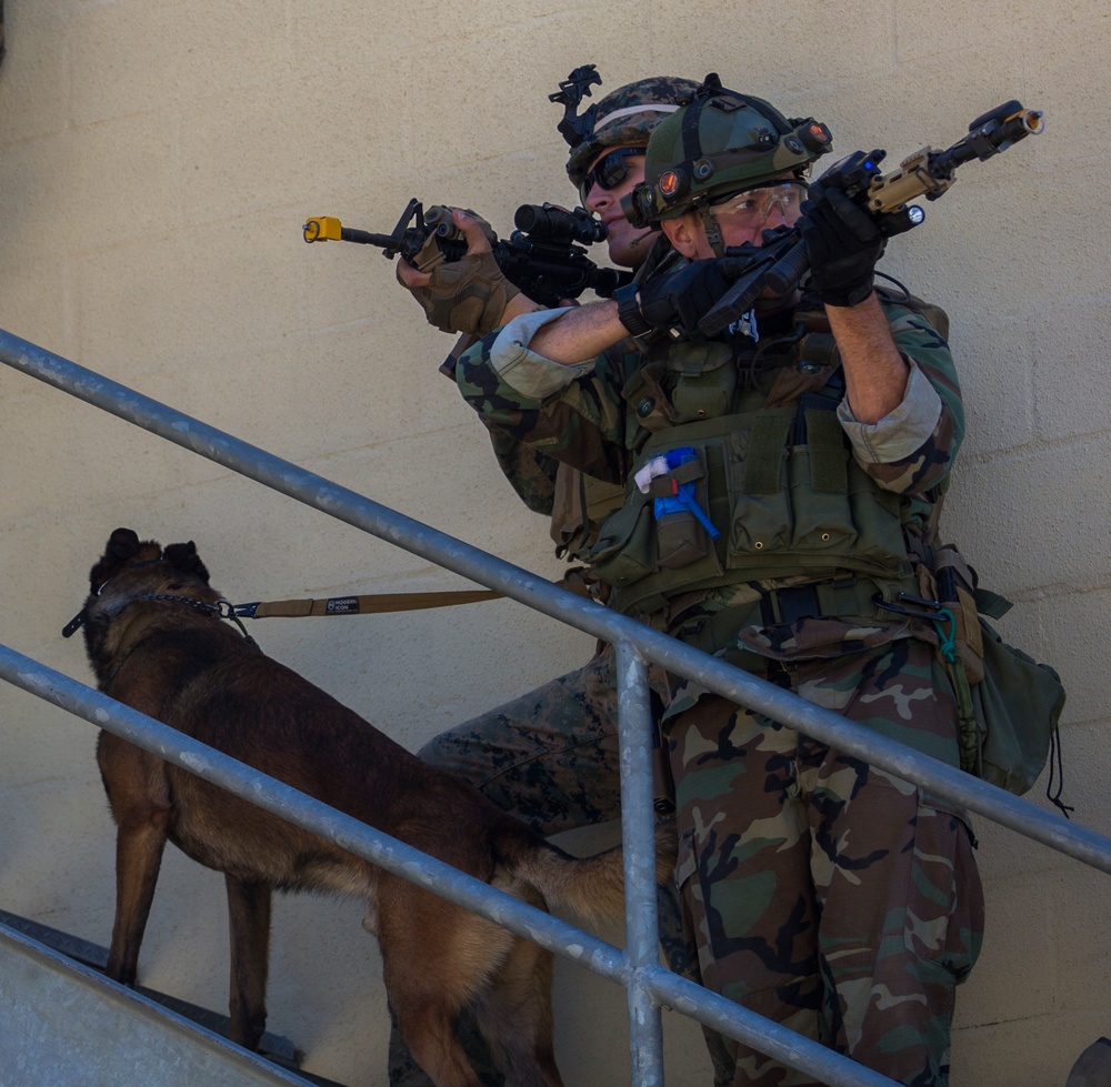 32nd Raiding Squadron and 2nd LE BN Conduct Dutch Bilateral Training