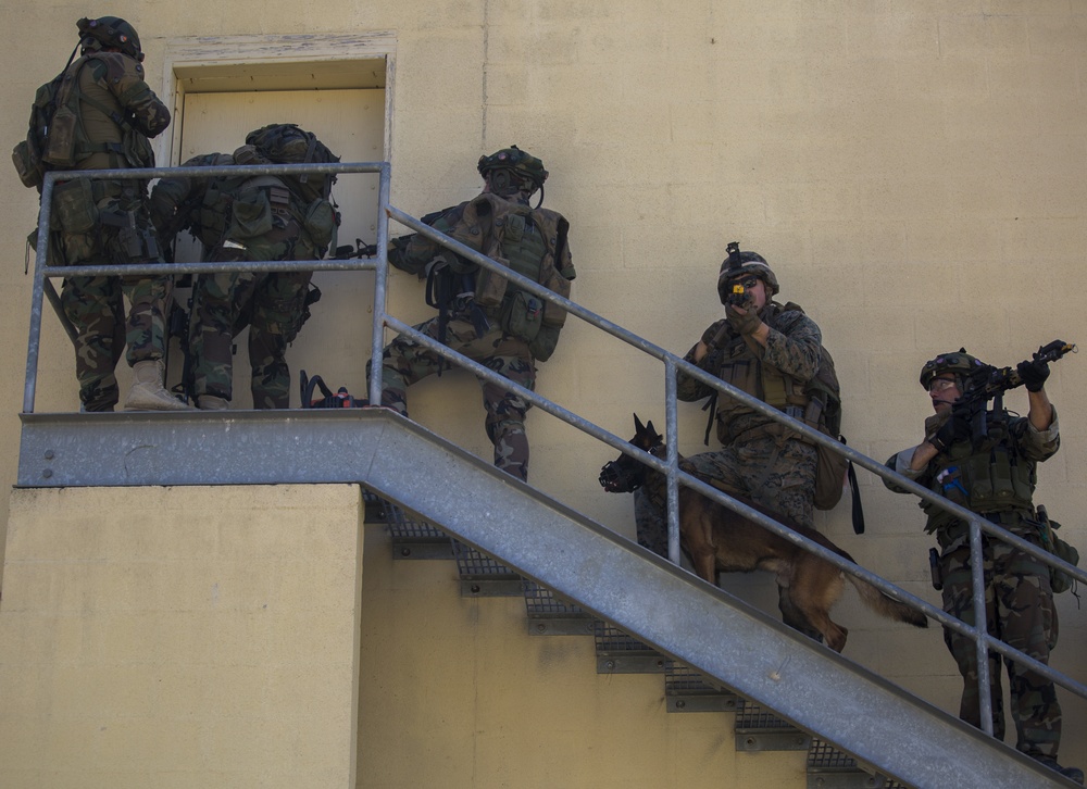 32nd Raiding Squadron and 2nd LE BN Conduct Dutch Bilateral Training