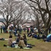 26th Annual Yokosuka Spring Festival