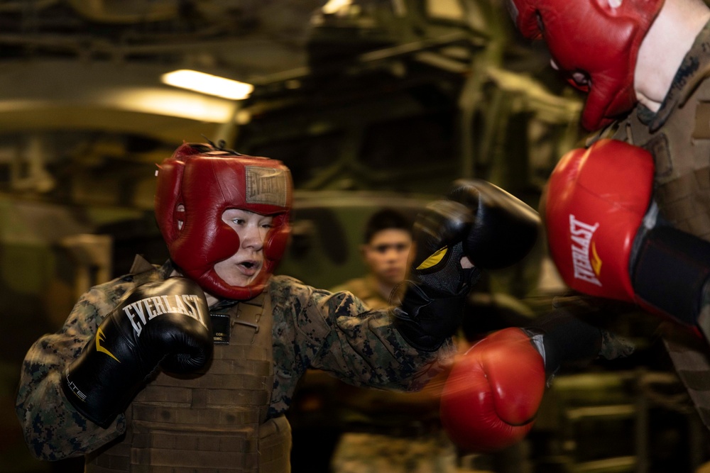 22nd MEU MAI Course culminating event