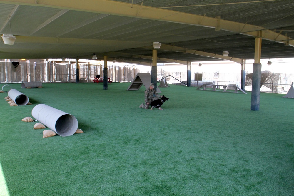 New Obedience Course Turf