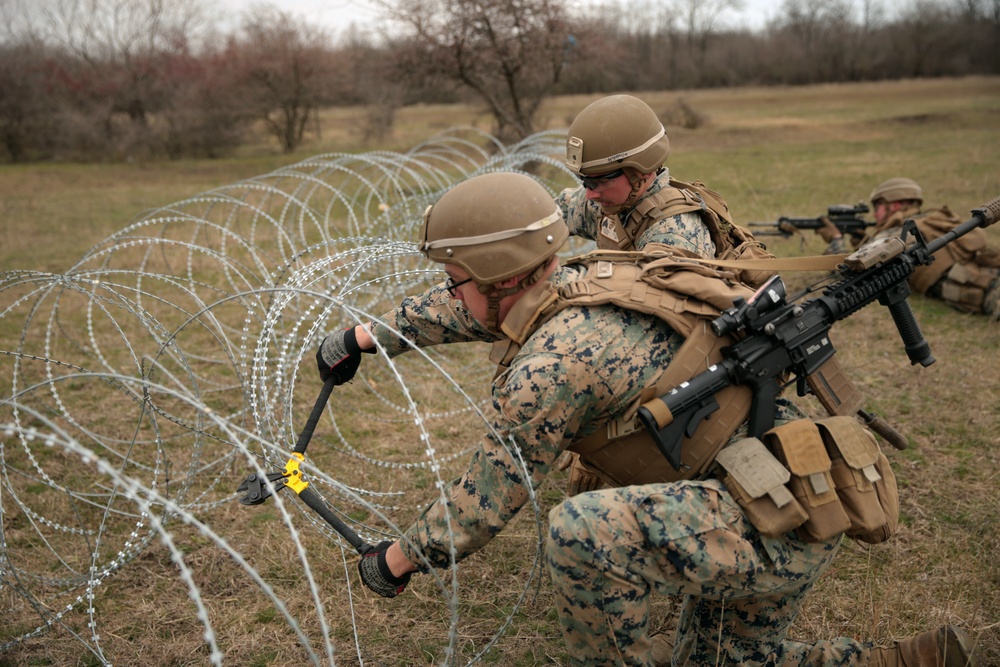 Platinum Eagle 19.1 FINEX Rehearsals