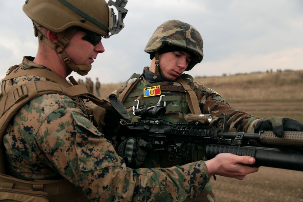 Platinum Eagle 19.1 FINEX Rehearsals