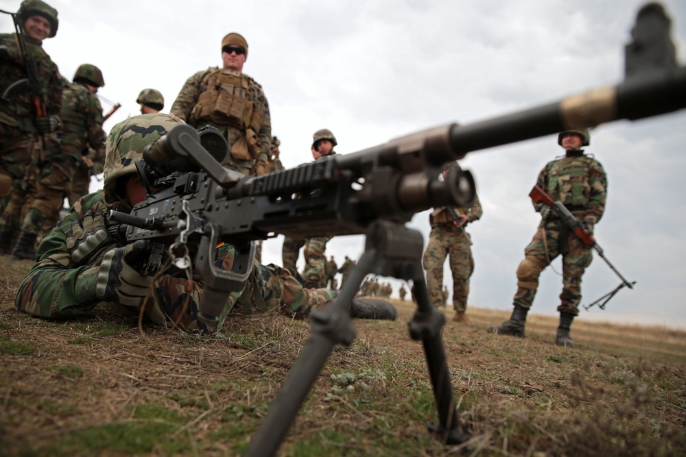 Platinum Eagle 19.1 FINEX Rehearsals