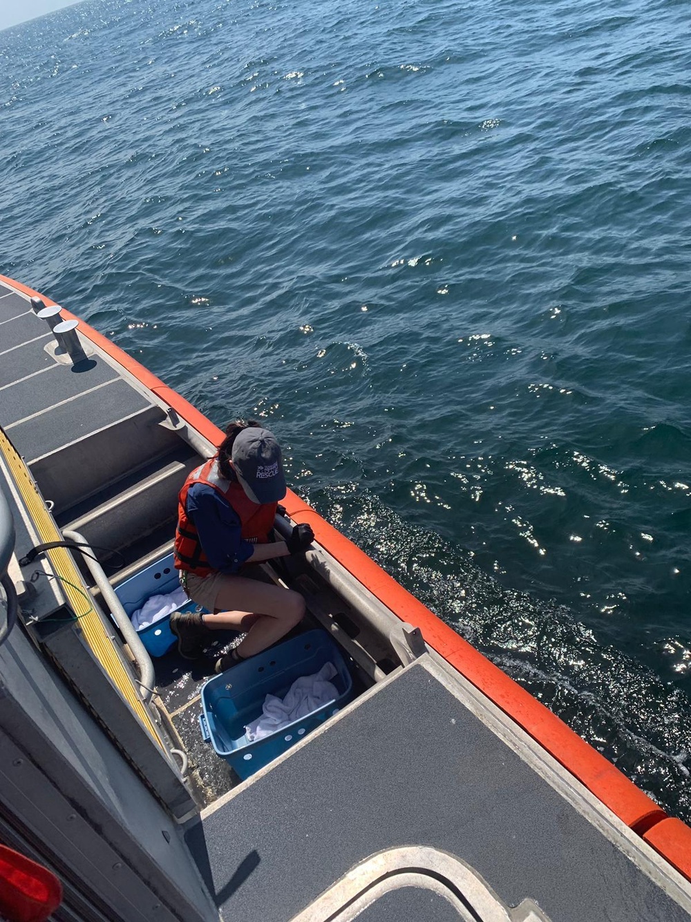 Coast Guard partners with Texas State Aquarium Wildlife Rescue Center to release rehabilitated sea turtles near Port Aransas, Texas