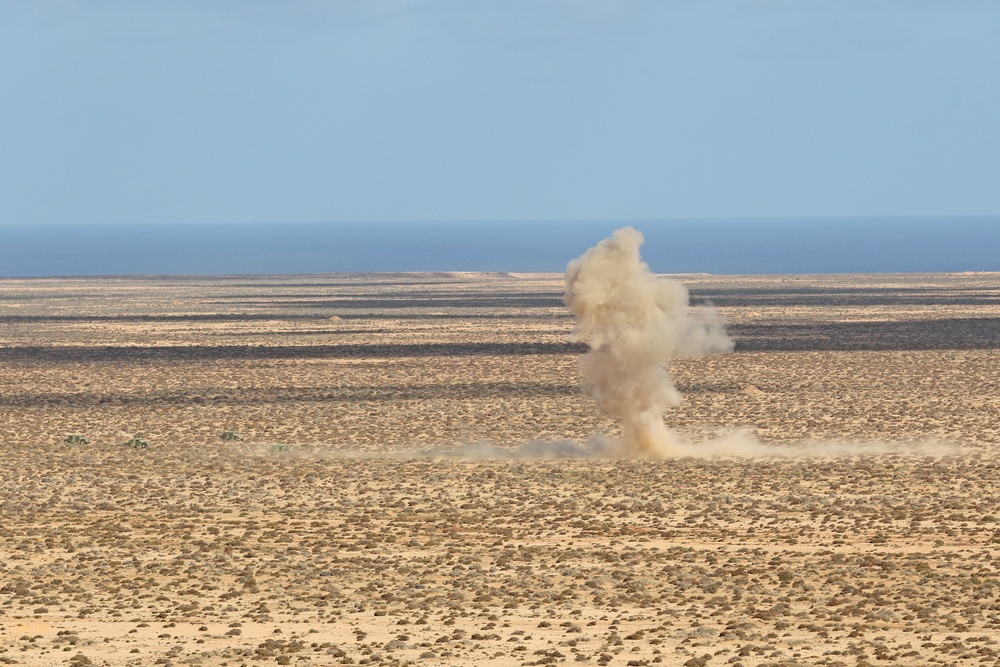 Live fire exercise highlights combined military tactics, techniques and weapons systems during African Lion 2019