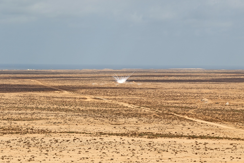 Live fire exercise highlights combined military tactics, techniques and weapons systems during African Lion 2019