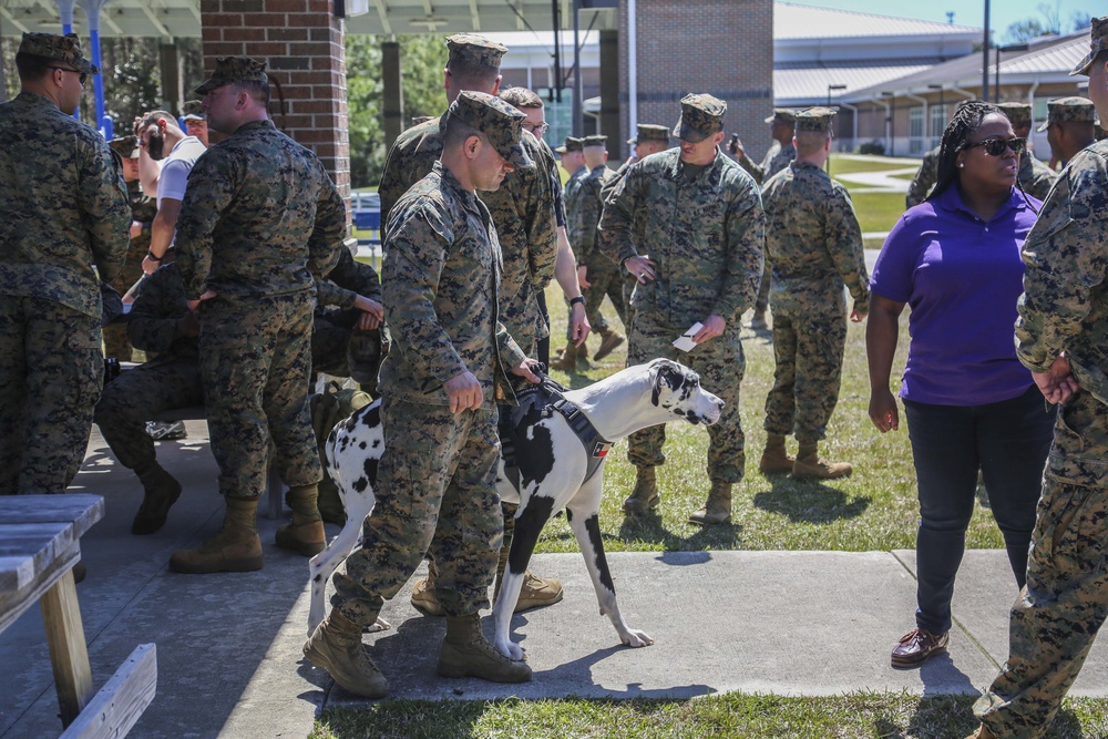 Wounded Warrior Bn recognizes Marine Corps Trials athletes