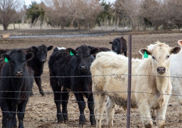 Nebraska Guard Continues Hay Operations