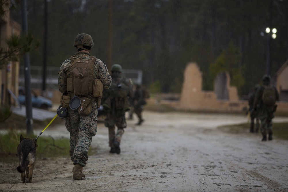 Royal Dutch Marines with 32nd Raiding Squadron and 2nd LE BN Conduct Dutch Bilateral Training