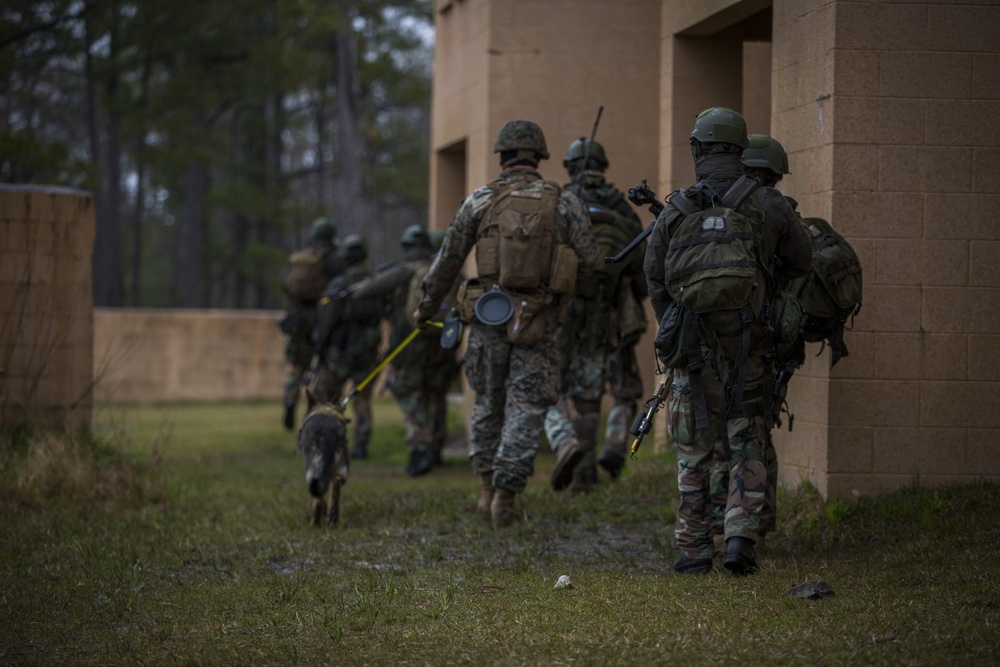 Royal Dutch Marines with 32nd Raiding Squadron and 2nd LE BN Conduct Dutch Bilateral Training