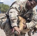 MEDEL trains to assist MWDs