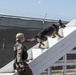 MEDEL trains to assist MWDs